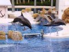 Discovery Cove