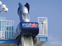 Wet 'n Wild