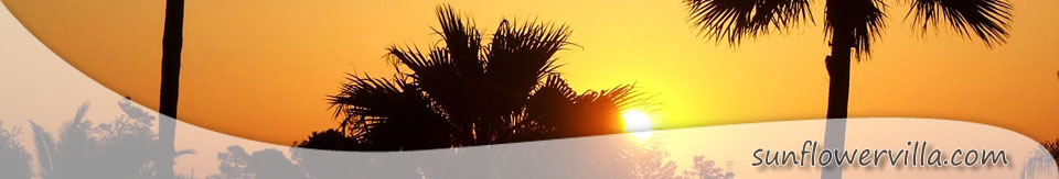 header sunflower02